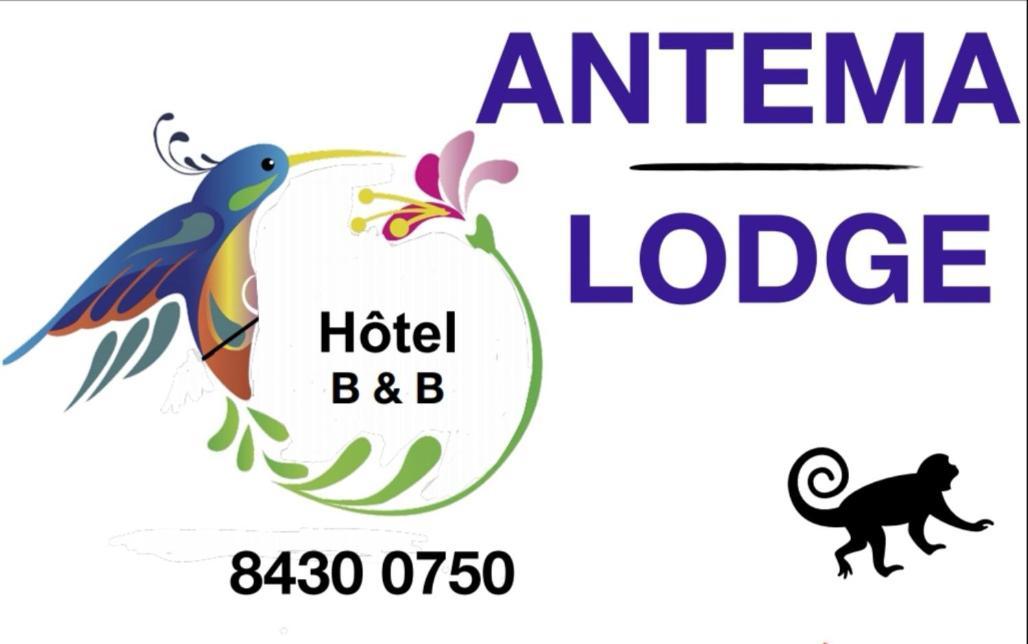 Antema Lodge Secteur Tamarindo, Piscine, Yoga, Gym, Jungle Et Paix المظهر الخارجي الصورة
