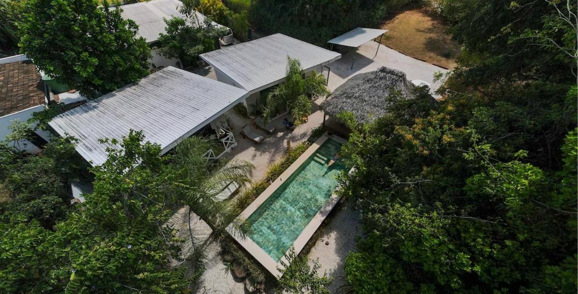 Antema Lodge Secteur Tamarindo, Piscine, Yoga, Gym, Jungle Et Paix المظهر الخارجي الصورة