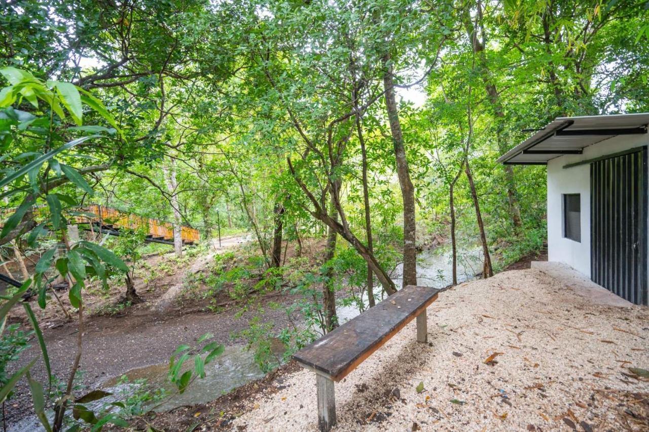 Antema Lodge Secteur Tamarindo, Piscine, Yoga, Gym, Jungle Et Paix المظهر الخارجي الصورة