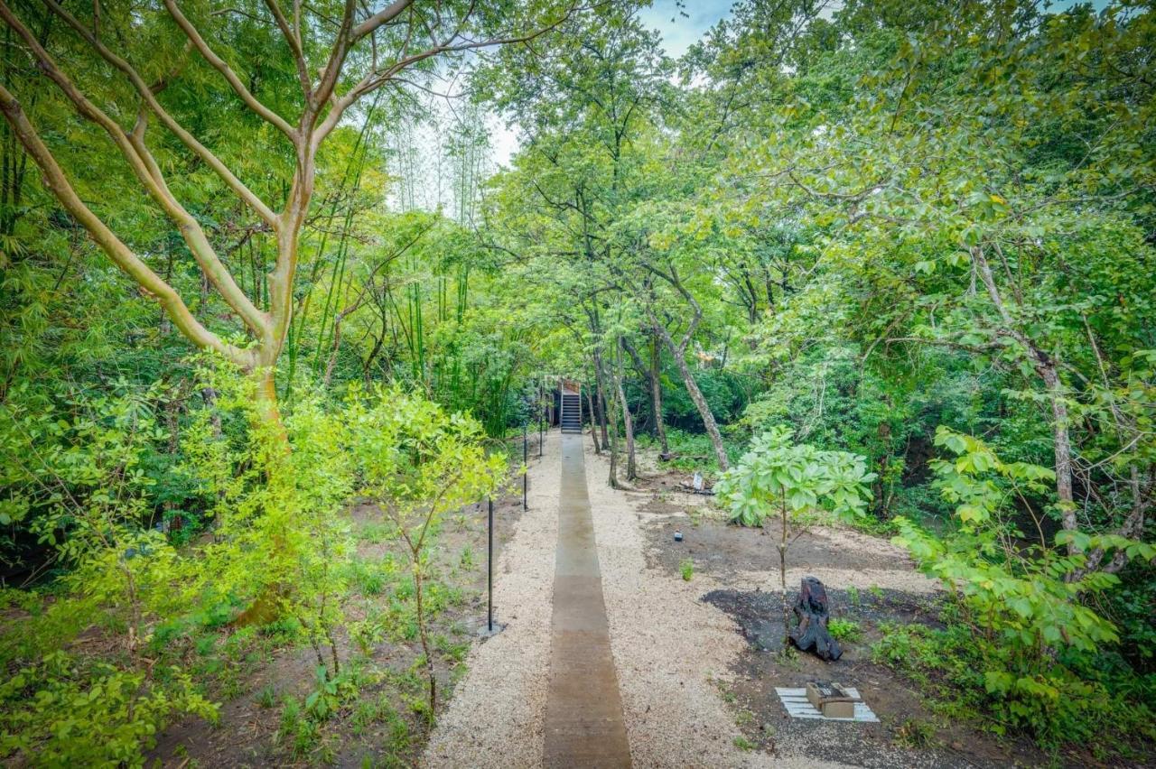 Antema Lodge Secteur Tamarindo, Piscine, Yoga, Gym, Jungle Et Paix المظهر الخارجي الصورة