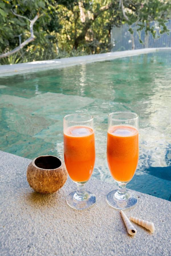 Antema Lodge Secteur Tamarindo, Piscine, Yoga, Gym, Jungle Et Paix المظهر الخارجي الصورة