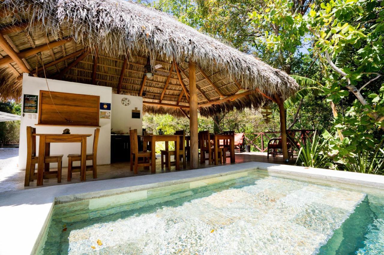 Antema Lodge Secteur Tamarindo, Piscine, Yoga, Gym, Jungle Et Paix المظهر الخارجي الصورة