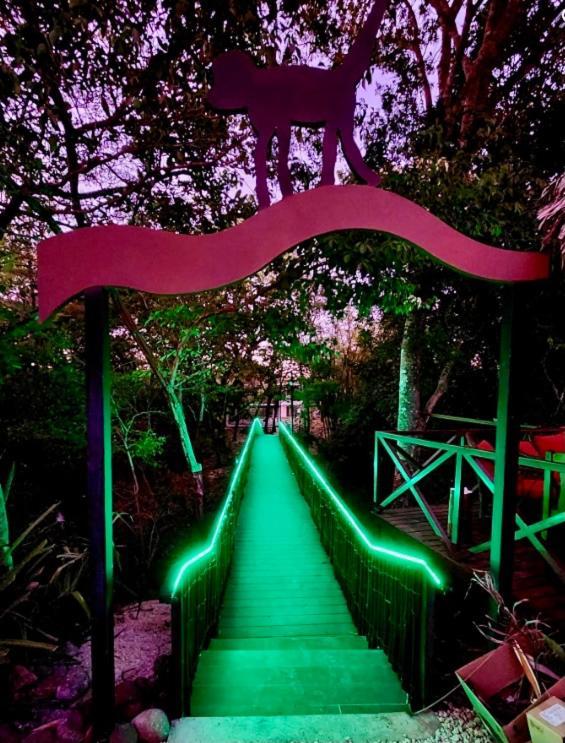 Antema Lodge Secteur Tamarindo, Piscine, Yoga, Gym, Jungle Et Paix المظهر الخارجي الصورة