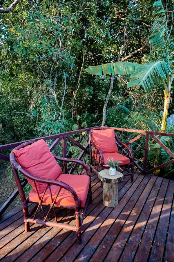 Antema Lodge Secteur Tamarindo, Piscine, Yoga, Gym, Jungle Et Paix المظهر الخارجي الصورة